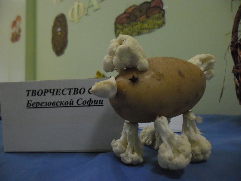 Выставка из картошки