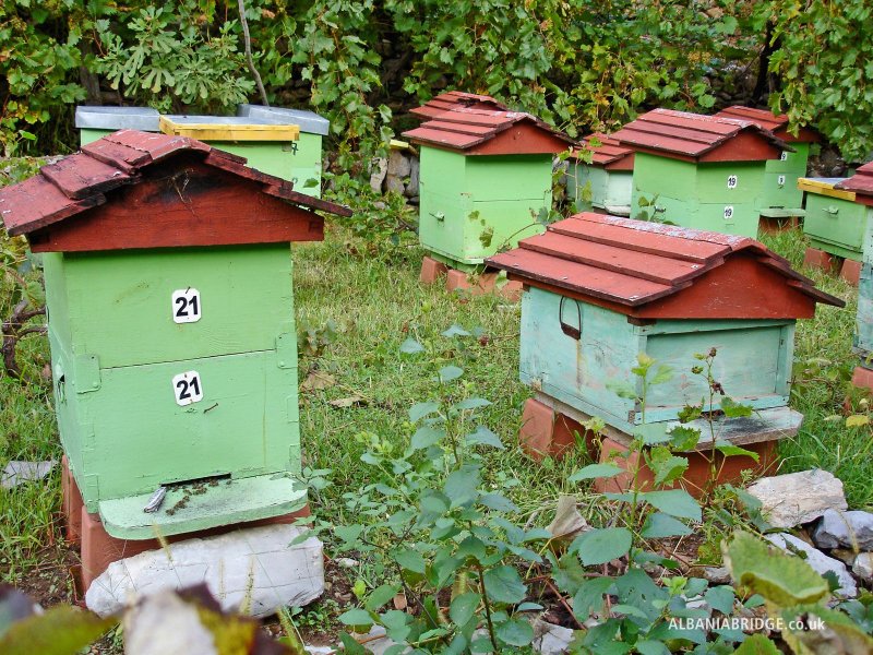 Необычные домики для пчёл