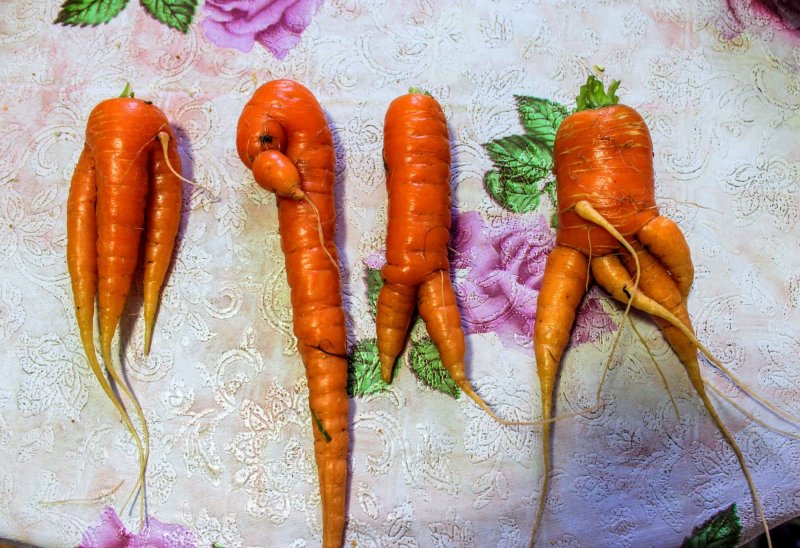 Фигурки из моркови