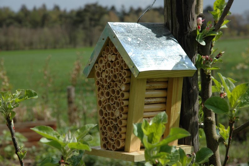 Пчелиный домик