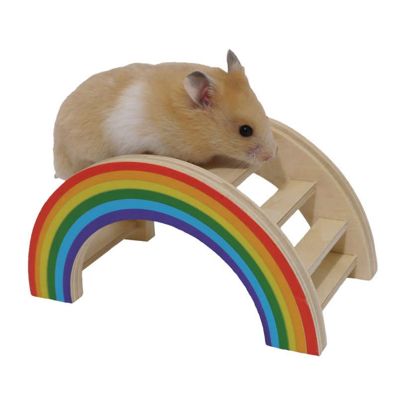 Hamster Paradise игрушка