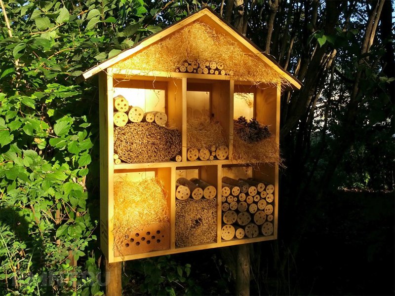 Пчелиный домик