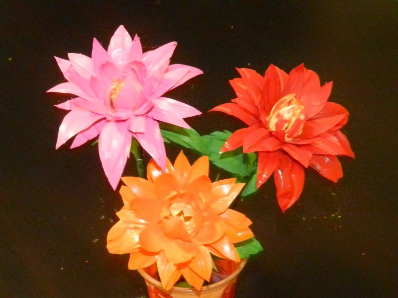 Цветы из пластиковых