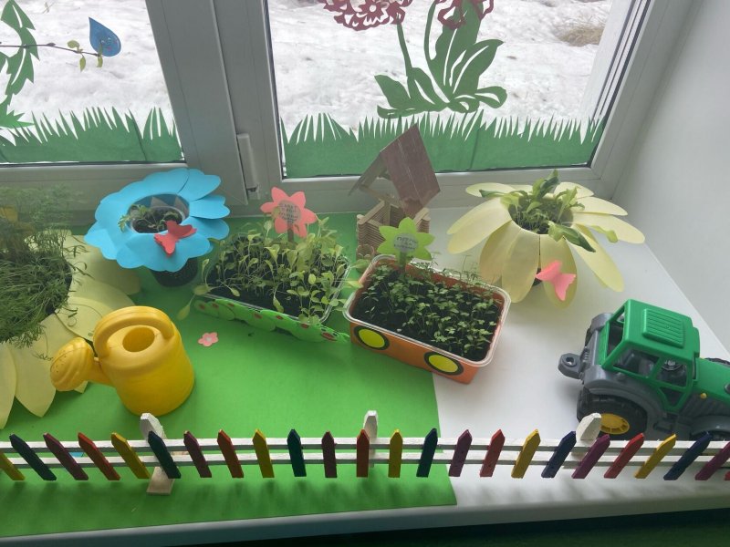 Огород на подоконнике в детском саду поезд