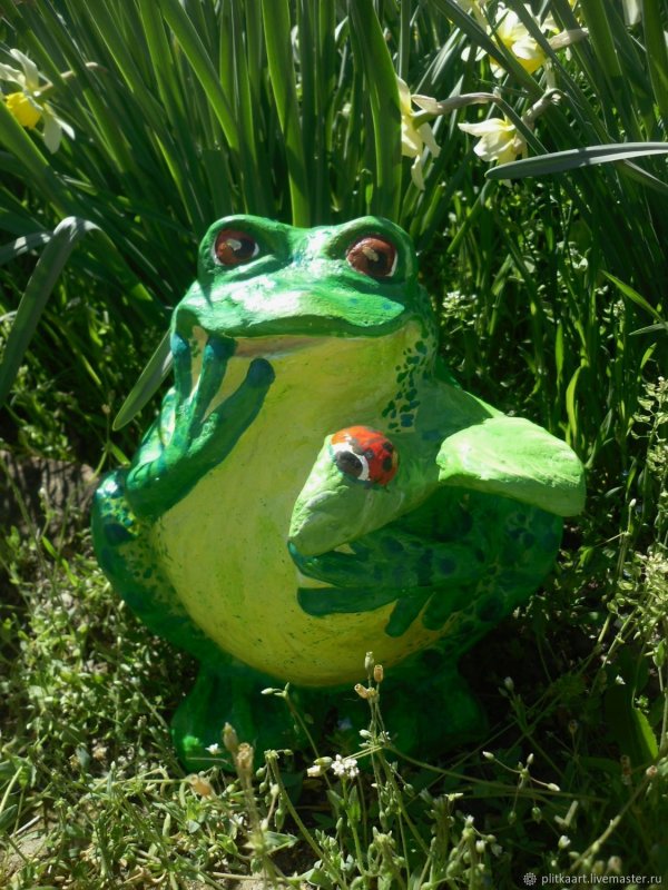 Жаба в саду