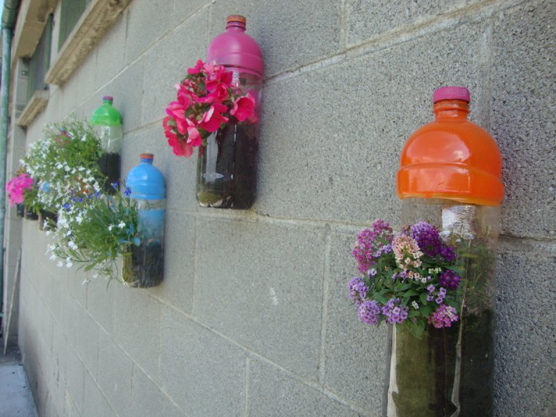 Пластиковые бутылки для цветов