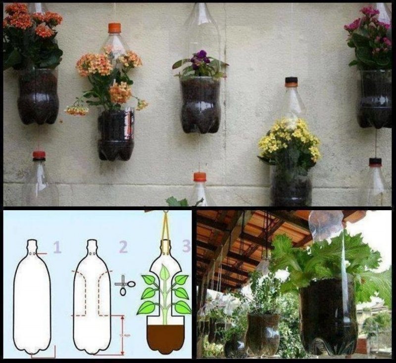 Цветы в пластиковых бутылках