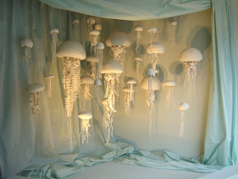 Медуза лампа в море