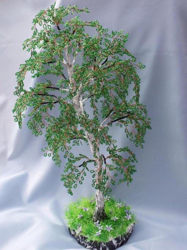 Бисерное дерево береза