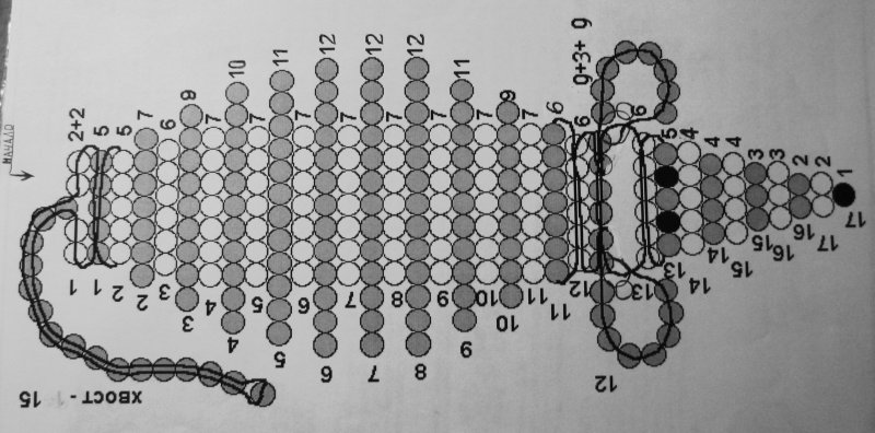 Схемы плетения из бисера