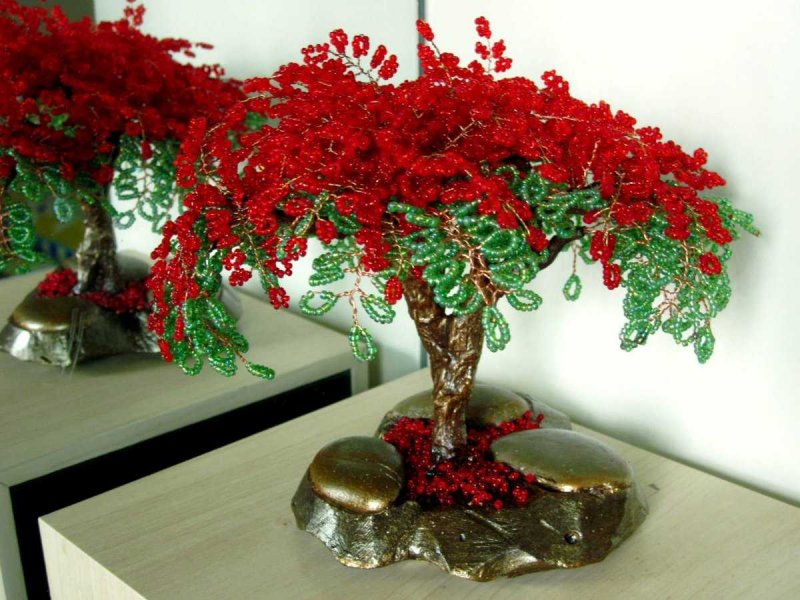 Бисерное дерево бонсай