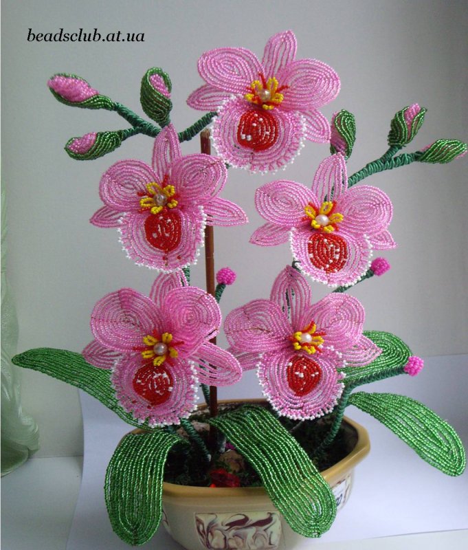Орхидея Мильтония из бисера