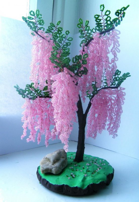Бисерные деревья Глициния