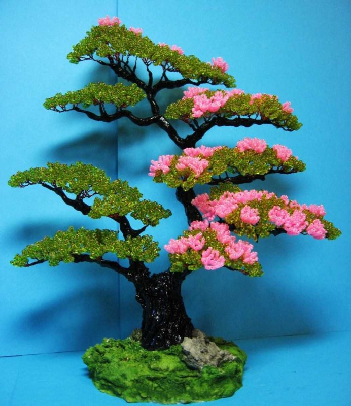 Дерево бонсай Сакура