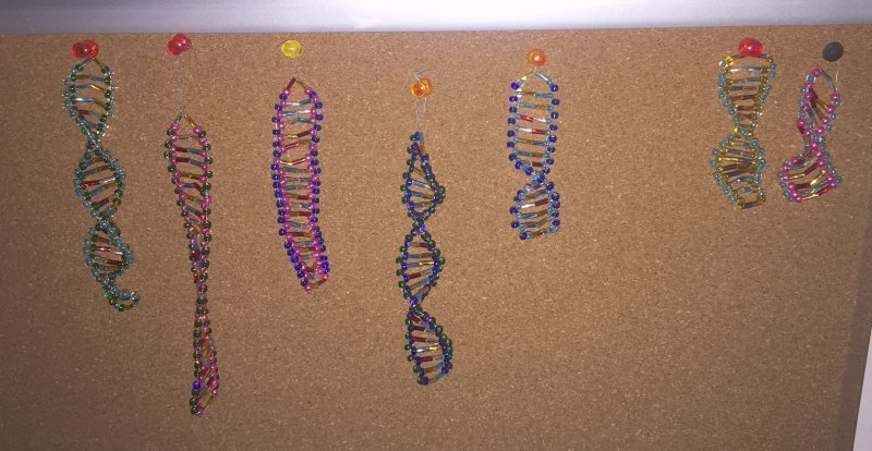Браслет из бисера ДНК