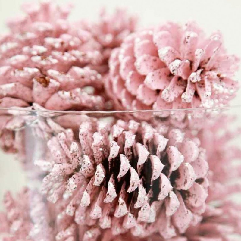 Цветы из шишек розовые