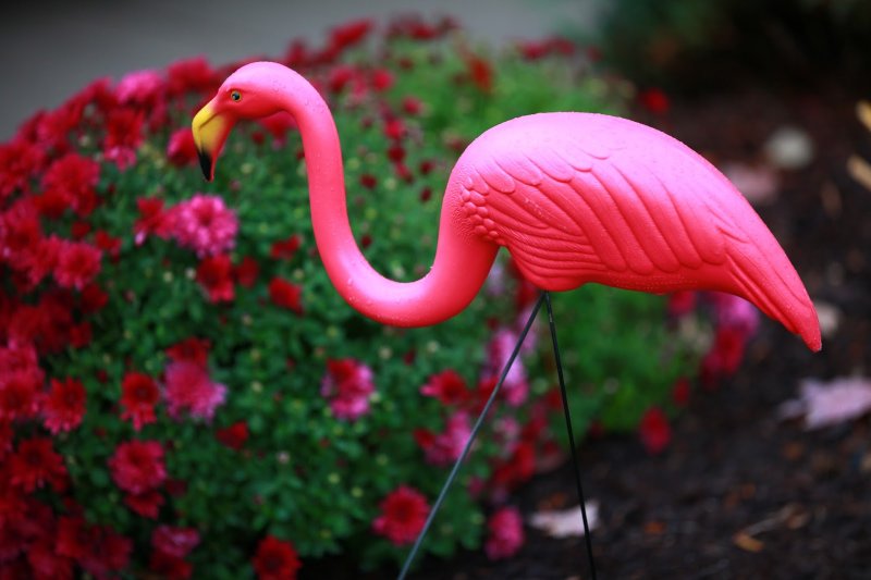 Фламинго из изолона мастер