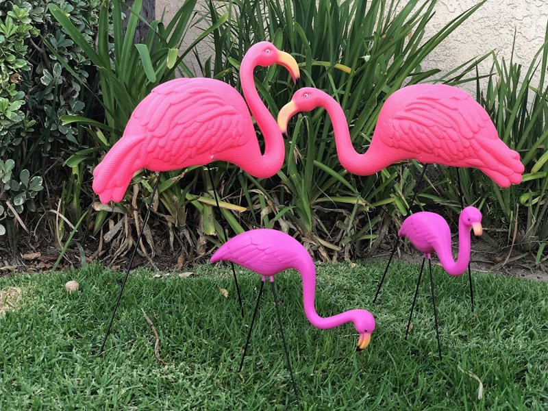 Садовый розовый Фламинго