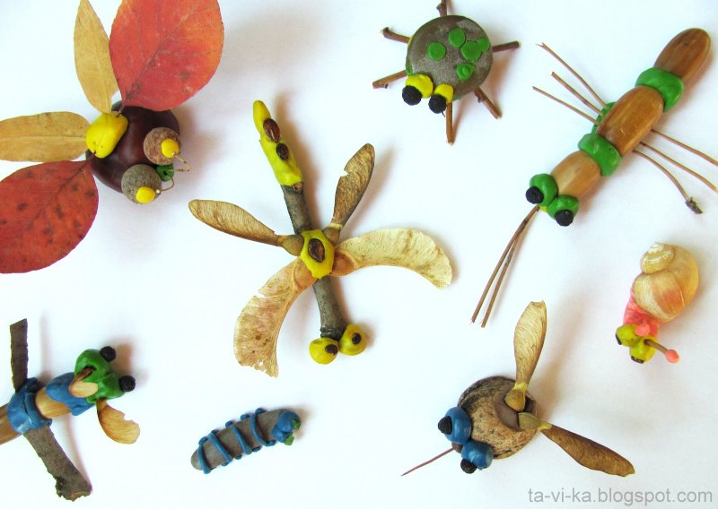 Поделка насекомые из природного материала