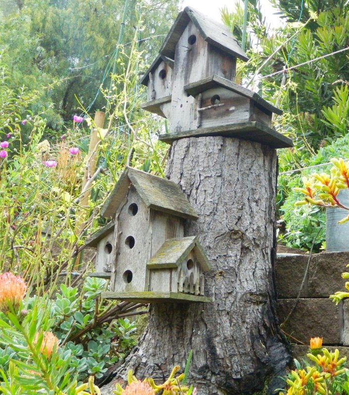 Домики для птиц в саду