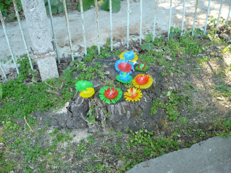 Палисадники на участке детского сада