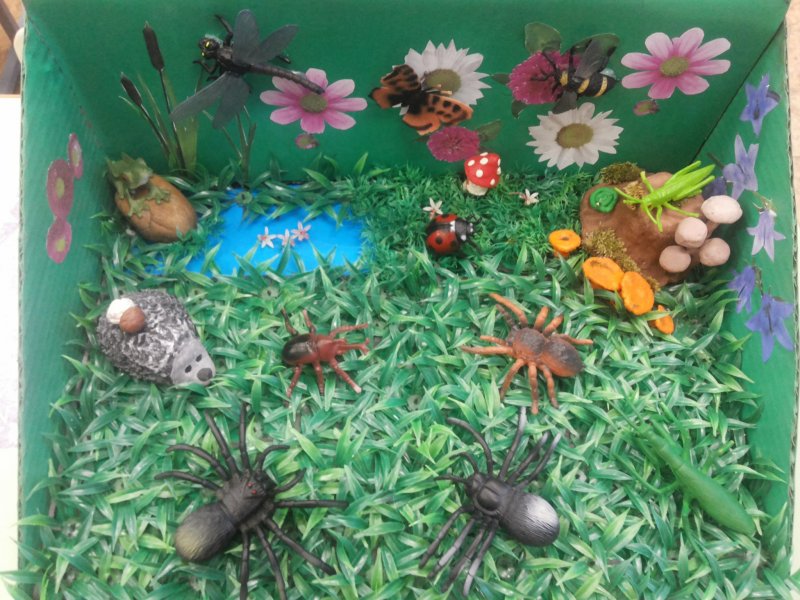 Макет насекомые для детского сада
