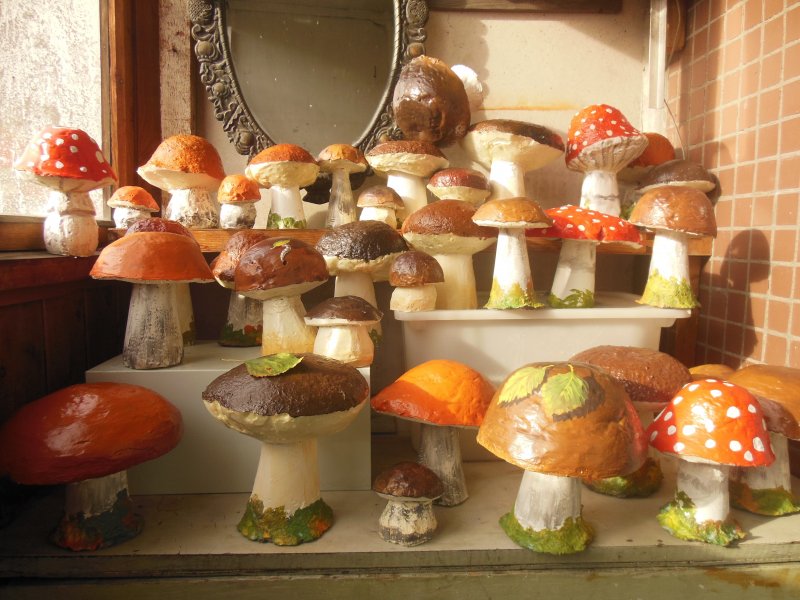 Бутафорские грибы