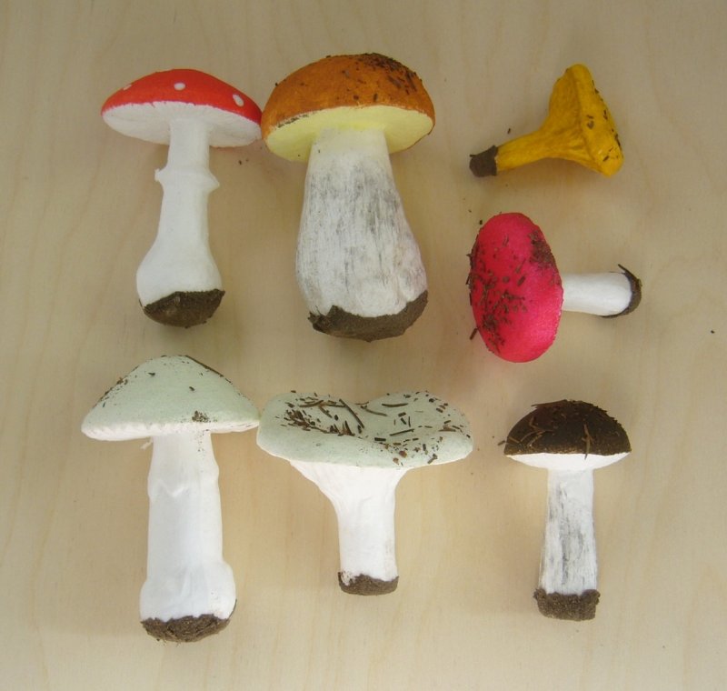 Набор муляжей грибы съедобные и ядовитые