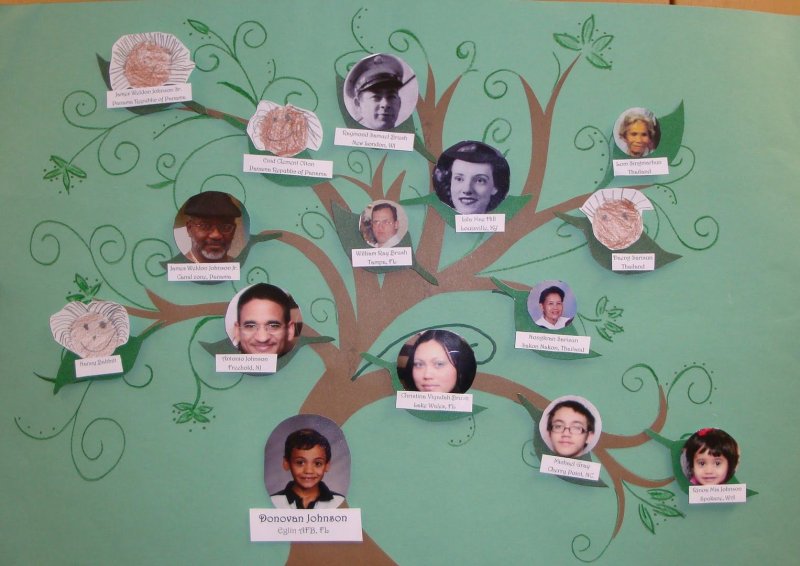 Родословное дерево в школу