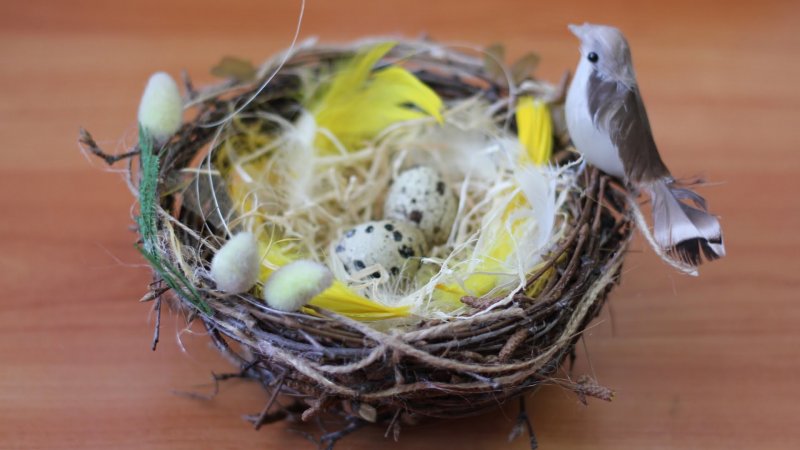 Поделка гнездо с птичками