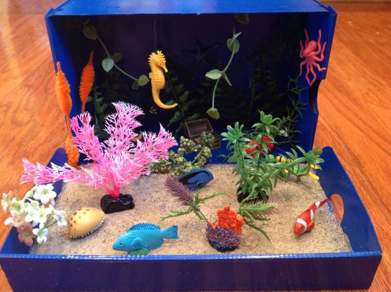 Поделка аквариум в школу