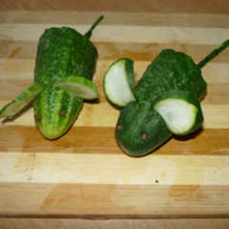 Поделки из овощей огурец