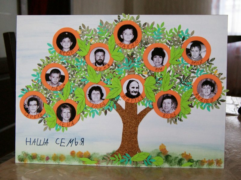 Дерево семьи для детского сада