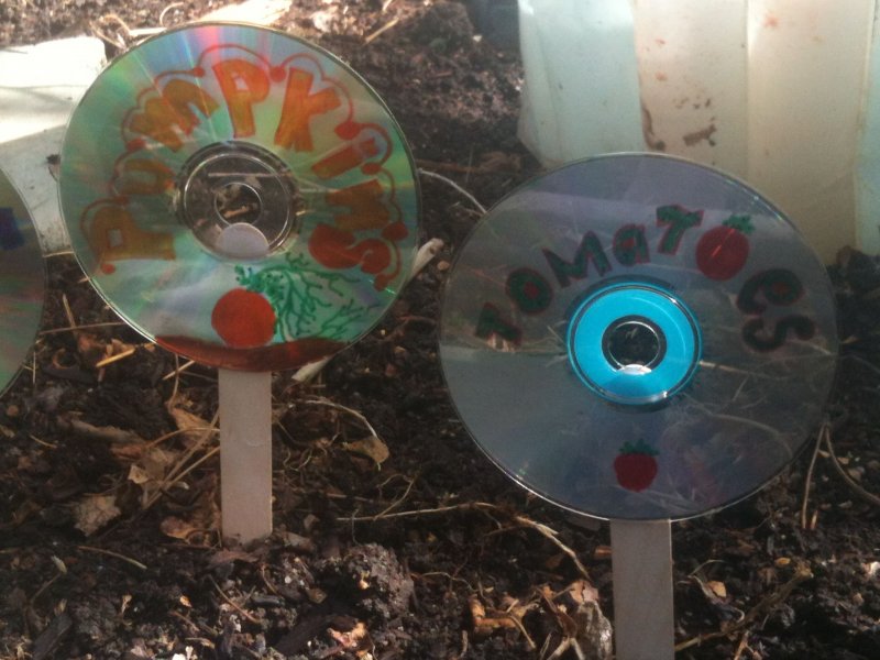Компакт диски в огороде