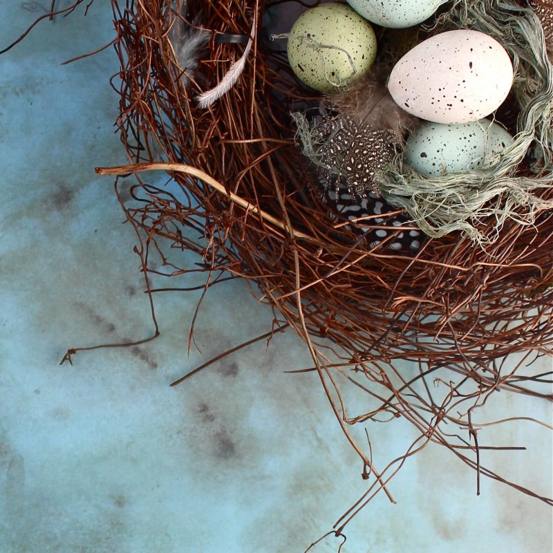 Поделка на Пасху гнездо с яйцами