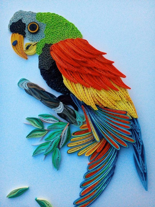 Пластилинография попугай ара