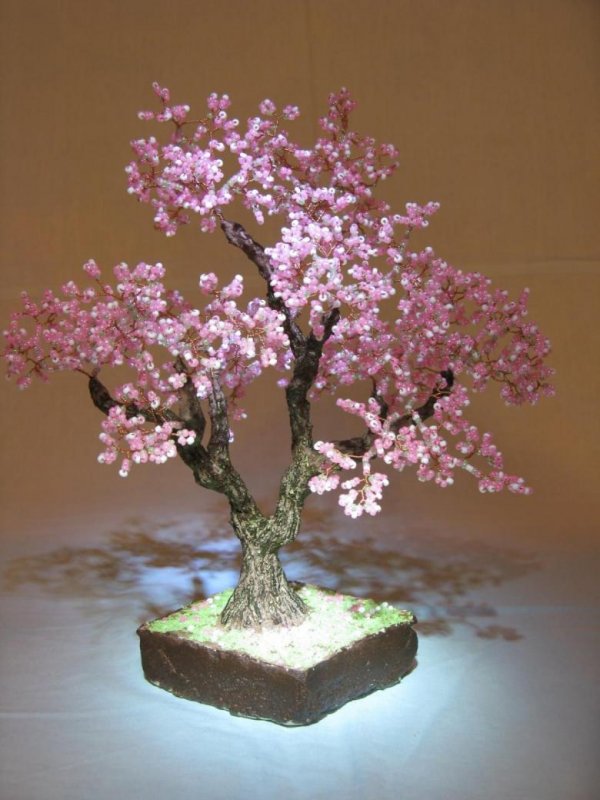 Бонсай дерево цветущее Сакура