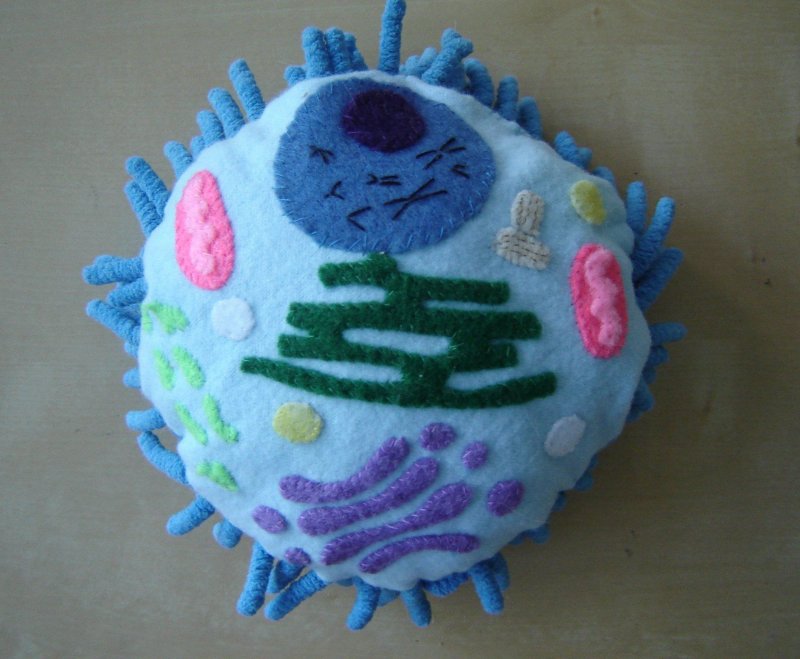Макет клетки микроба