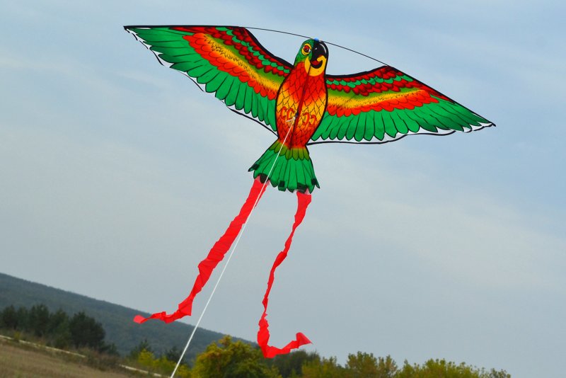 Воздушный змей попугай