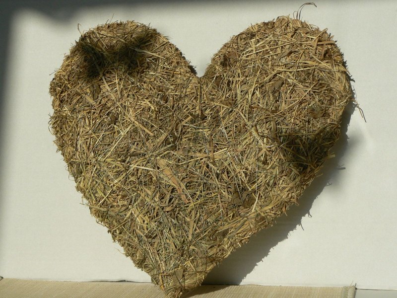 Сердце из сена