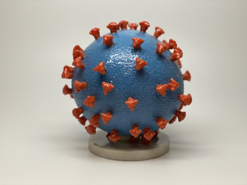 Модель коронавируса Covid-19