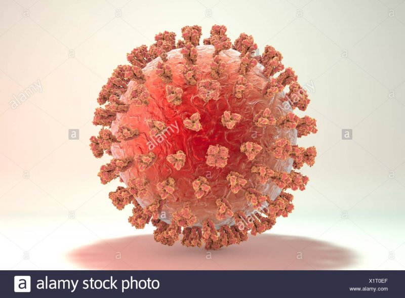 Вирус гриппа поделка