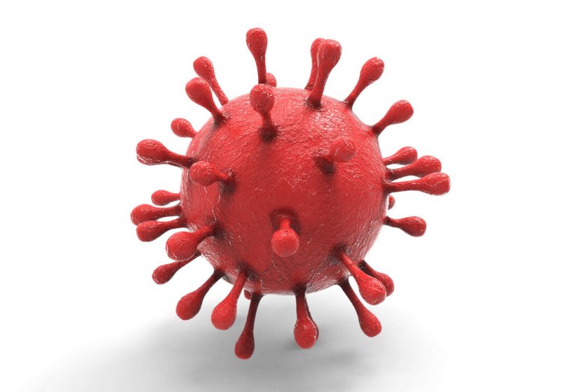 Коронавирус модель 3д вируса