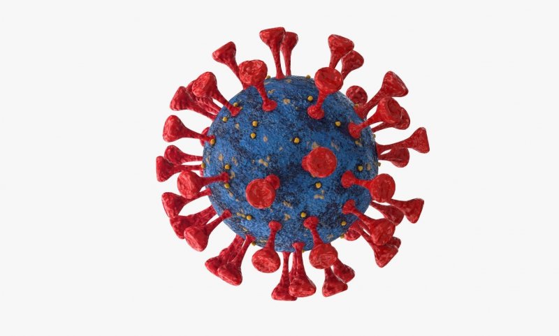 Вирус коронавирус пластилином