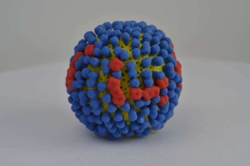 Модель вируса из пластилина