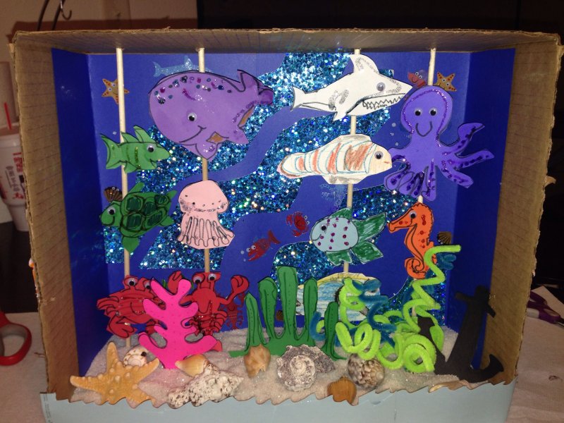 Сухой аквариум в детском саду