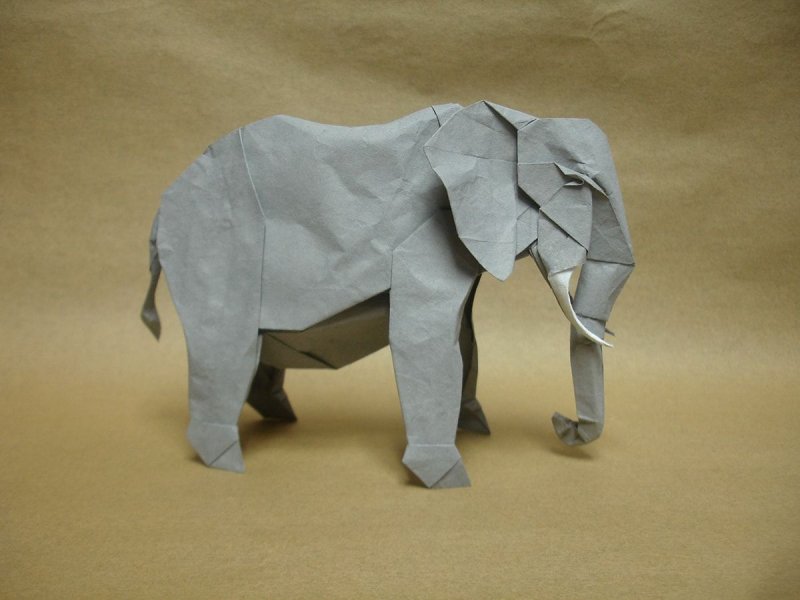 Origami Elefant Shuki Kato