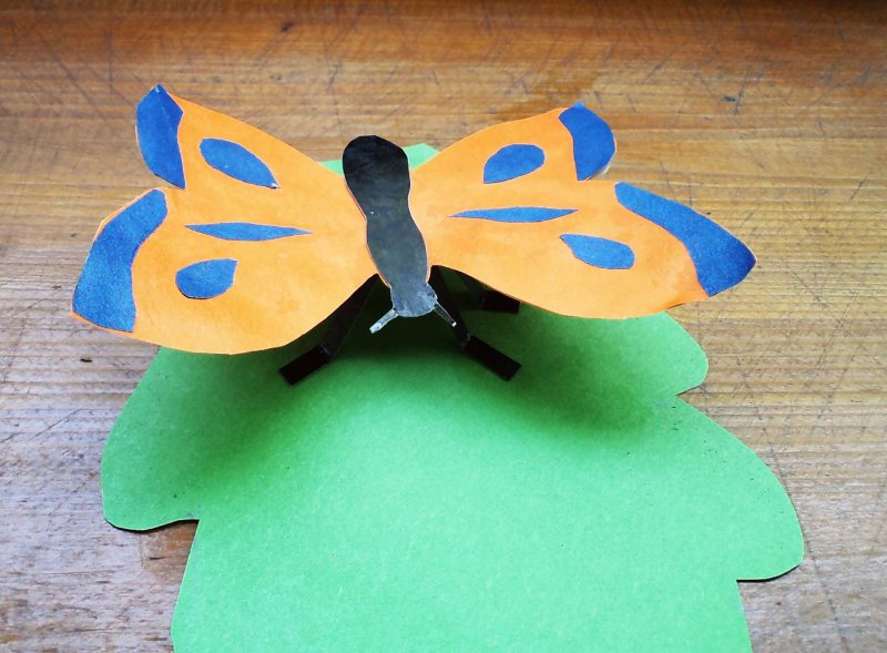 Объемные бабочки из бумаги