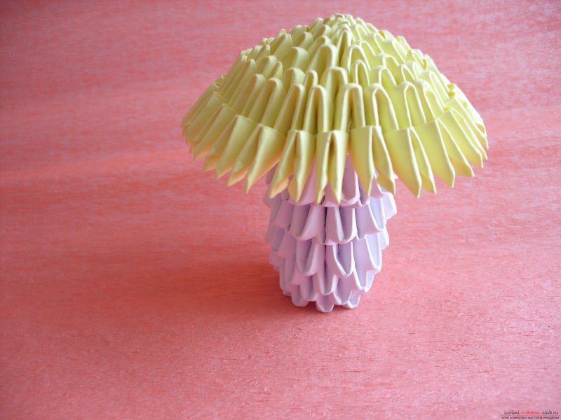 Текстильные грибы