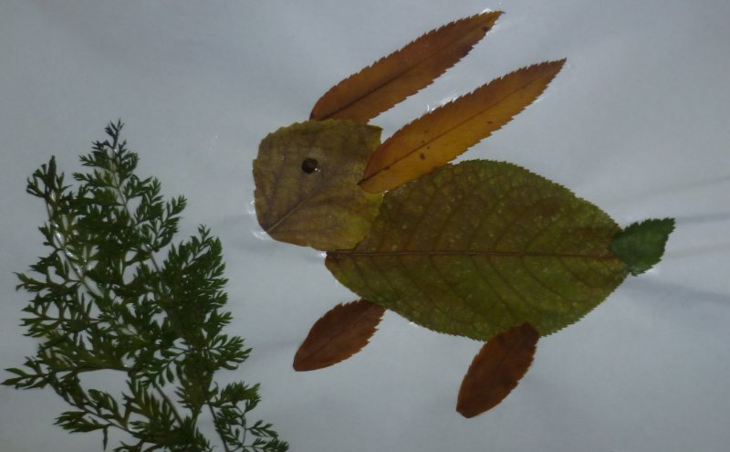 Заяц из листьев